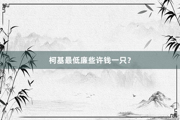 柯基最低廉些许钱一只？