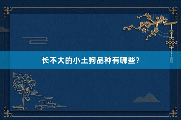 长不大的小土狗品种有哪些？