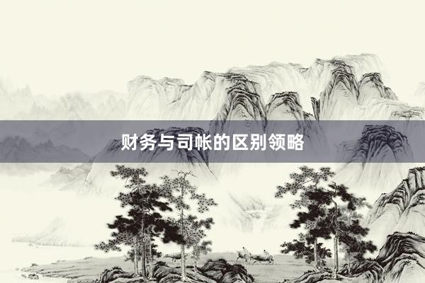 财务与司帐的区别领略